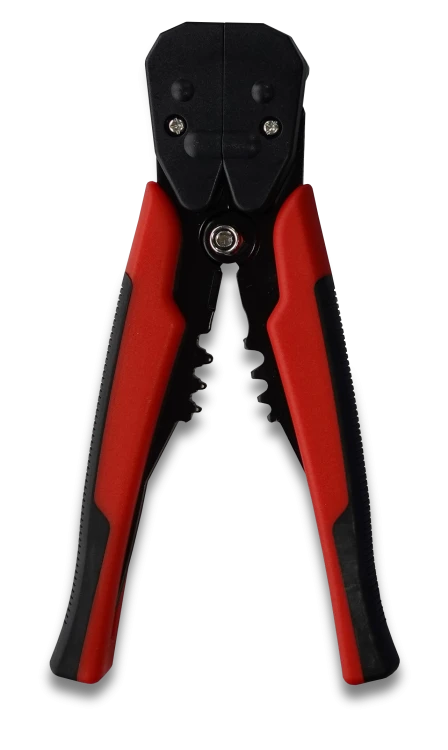 bieraczka1.png