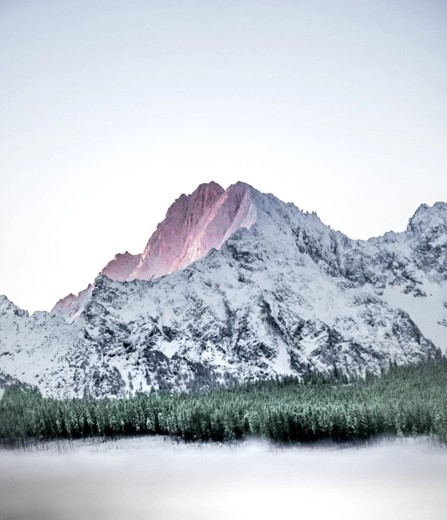 F22.jpg